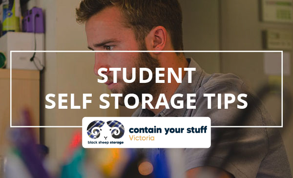 student storage tips, college, study